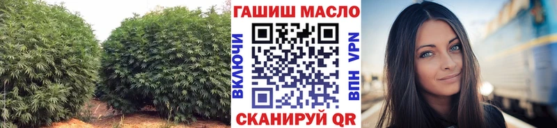 omg как зайти  Новая Ляля  ТГК концентрат 